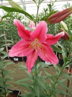 [5352 Bromley DJ No01.JPG]